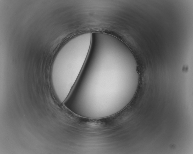 X0000112460693200908171017