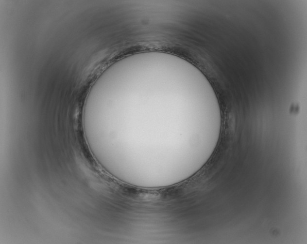 X0000112460694200908171017