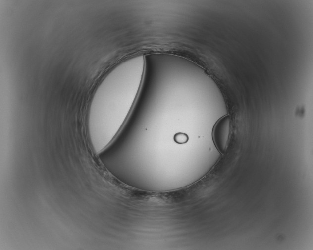 X0000112460697200908171016