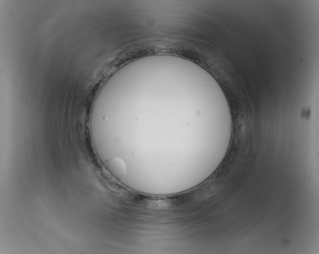X0000112460698200908171016