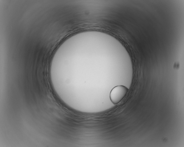 X0000112460700200908171016