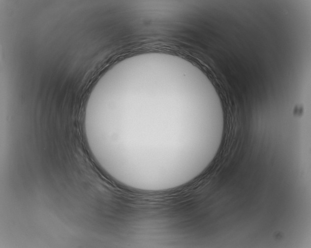 X0000112460701200908171016