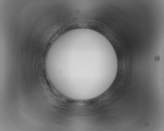 X0000112460702200908171016