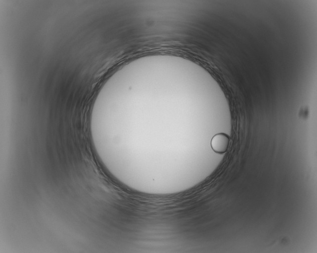X0000112460704200908171016