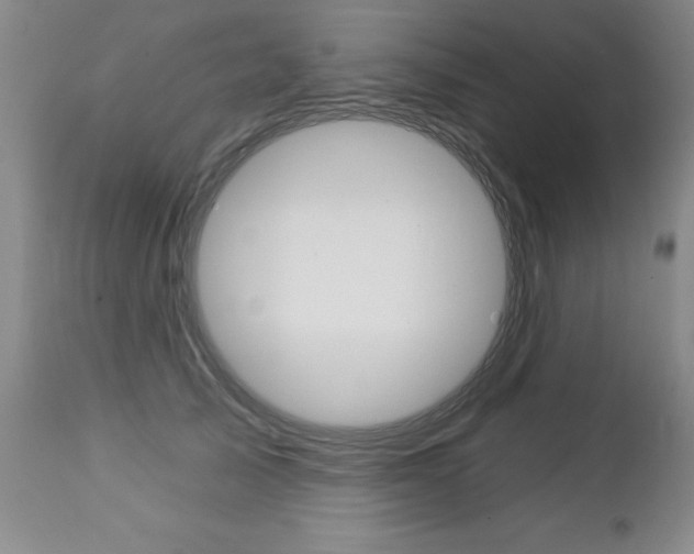 X0000112460705200908171016