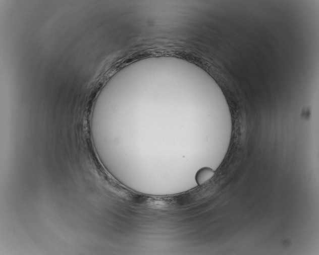 X0000112460706200908171016