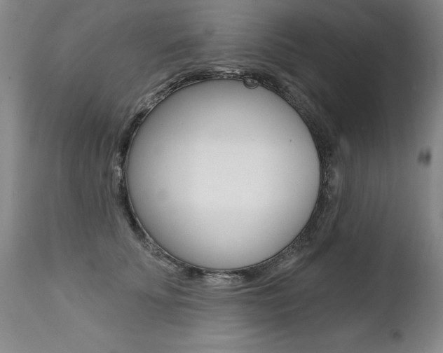 X0000112460707200908171016