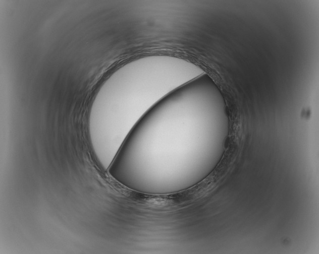 X0000112460708200908171016