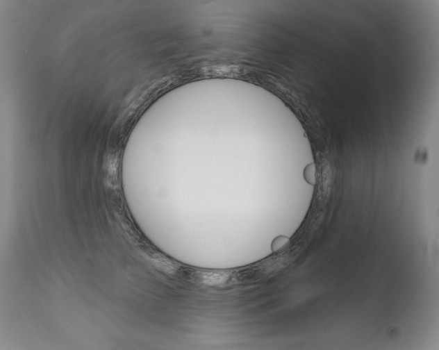 X0000112460709200908171016