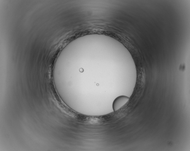X0000112460710200908171016