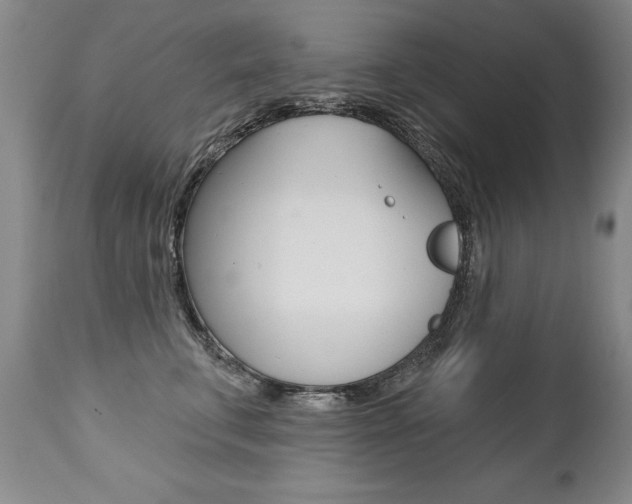 X0000112460711200908171016