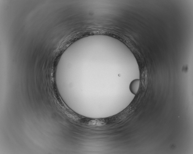 X0000112460714200908171016