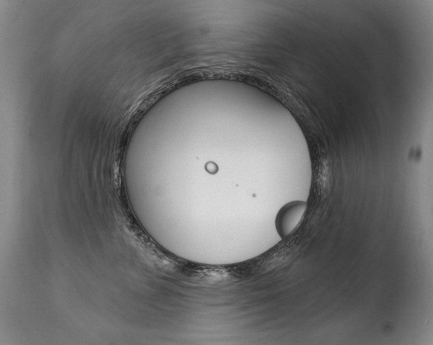 X0000112460715200908171016
