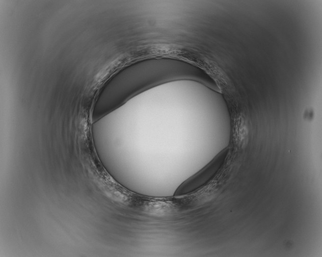 X0000112460716200908171016