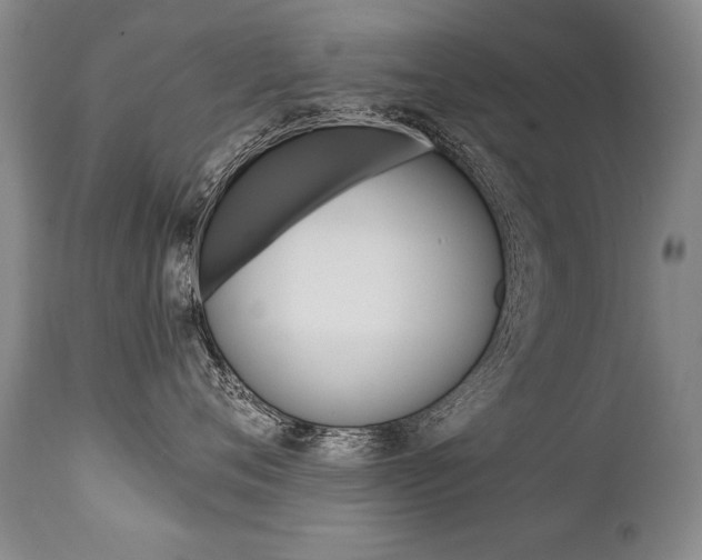 X0000112460720200908171016