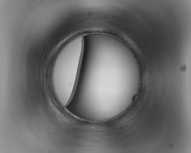 X0000112460722200908171015