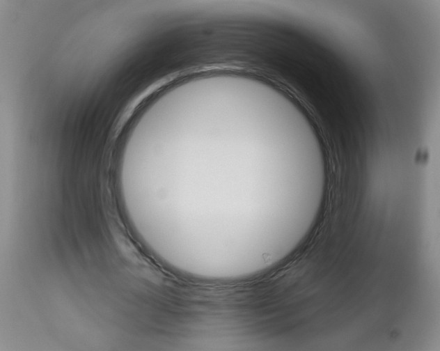 X0000112460724200908171015