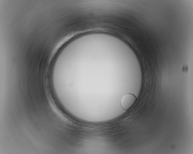 X0000112460726200908171015