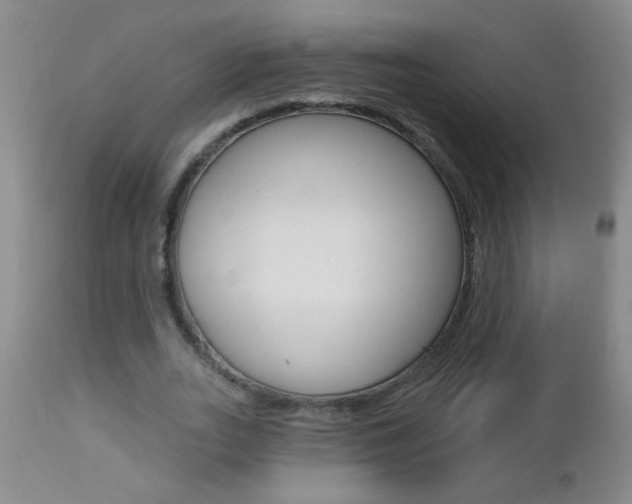 X0000112460727200908171015