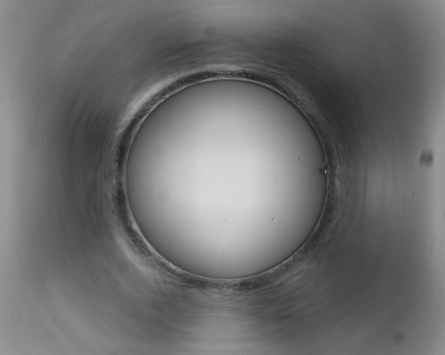 X0000112460728200908171015