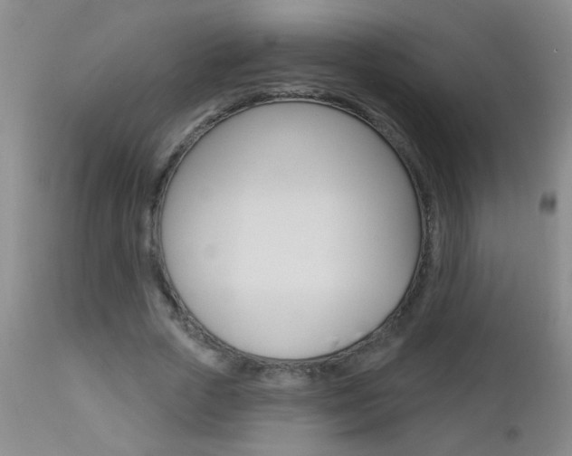 X0000112460729200908171015