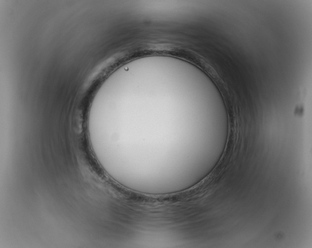 X0000112460731200908171015