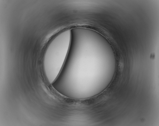 X0000112460732200908171015