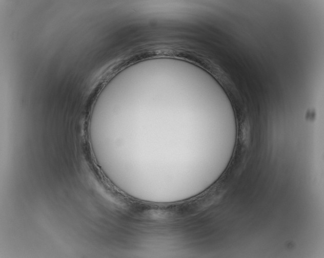 X0000112460733200908171015