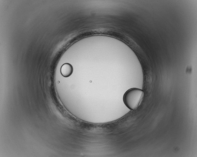 X0000112460734200908171015