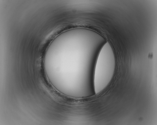 X0000112460735200908171015
