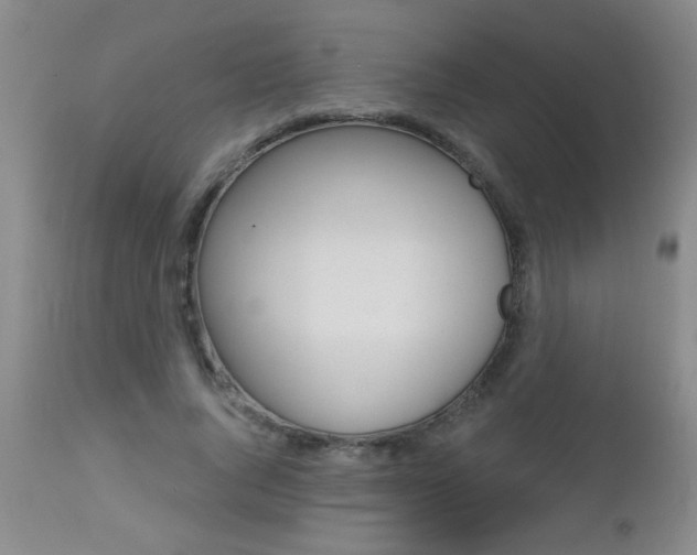 X0000112460736200908171015