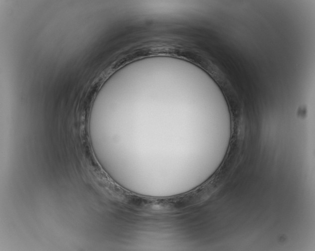 X0000112460737200908171015