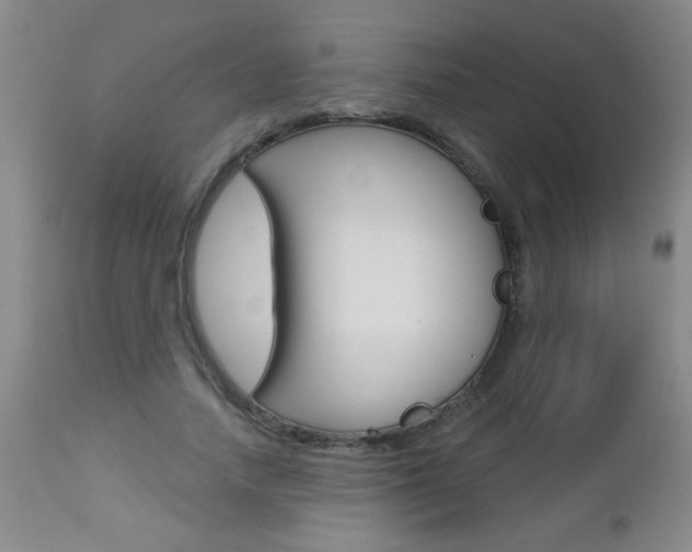 X0000112460738200908171015