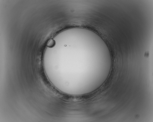 X0000112460739200908171015