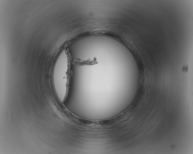 X0000112460742200908171015