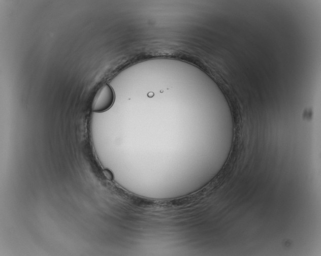 X0000112460743200908171015