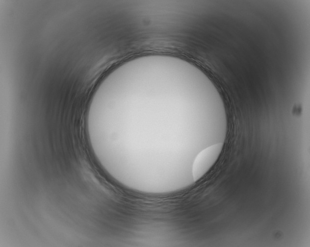 X0000112460744200908171015