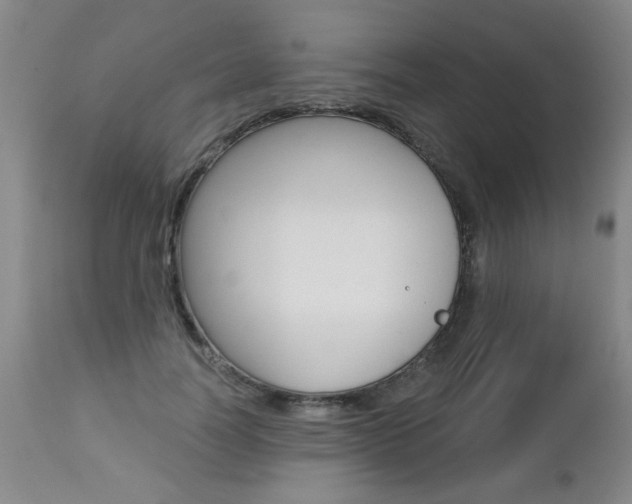 X0000112460746200908171015