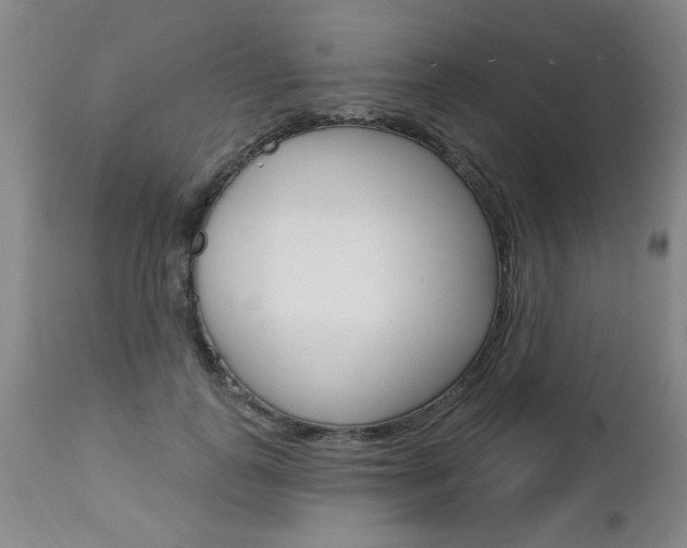 X0000112460747200908171016
