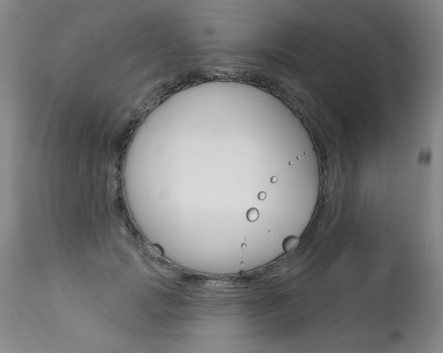X0000112460749200908171016
