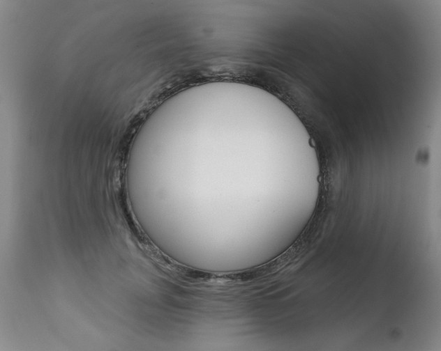 X0000112460751200908171016