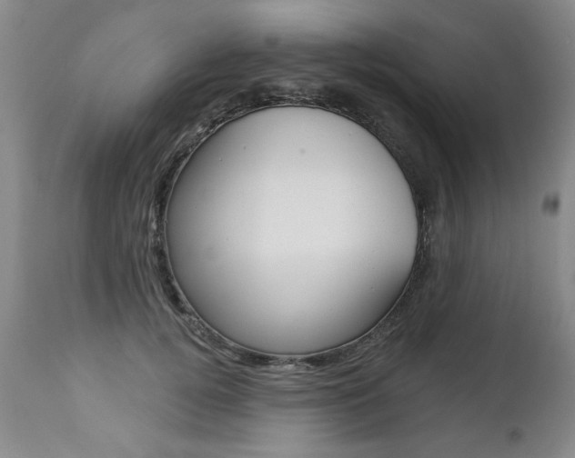 X0000112460752200908171016