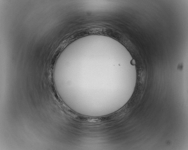 X0000112460753200908171016