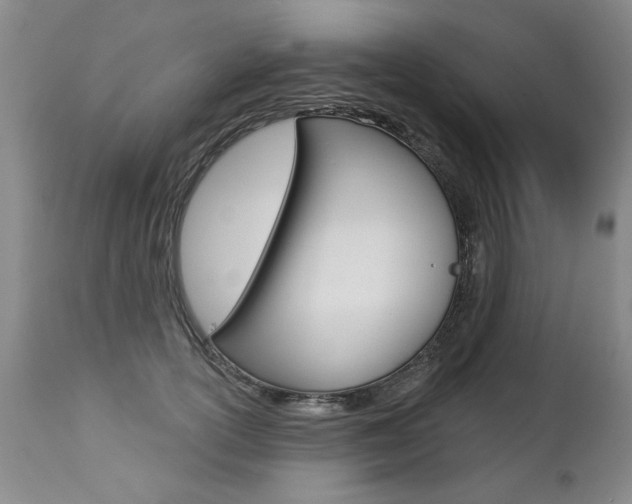 X0000112460754200908171016