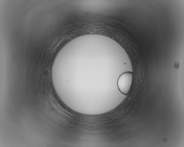 X0000112460756200908171016