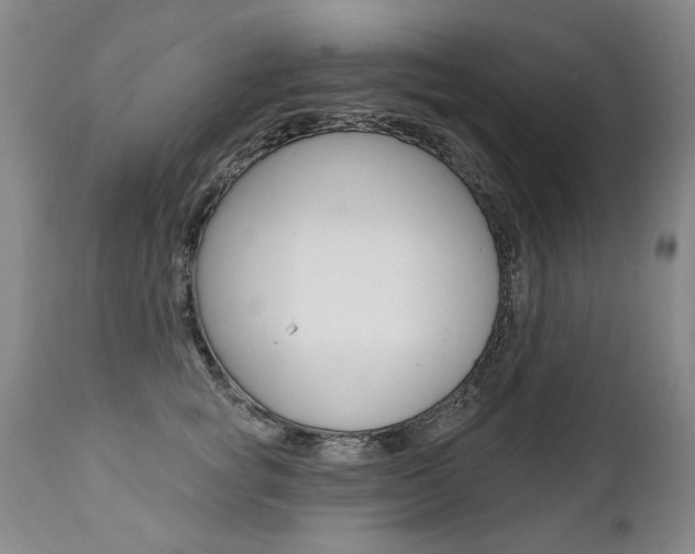 X0000112460757200908171016