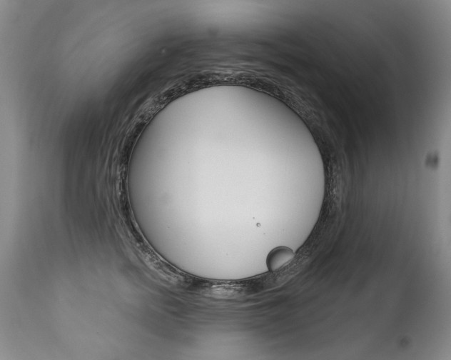 X0000112460758200908171016