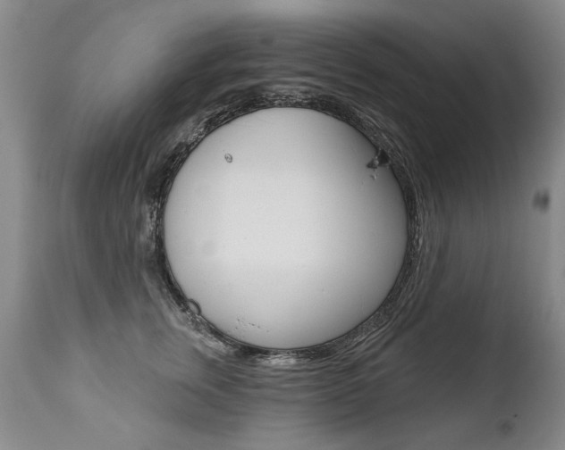 X0000112460759200908171016