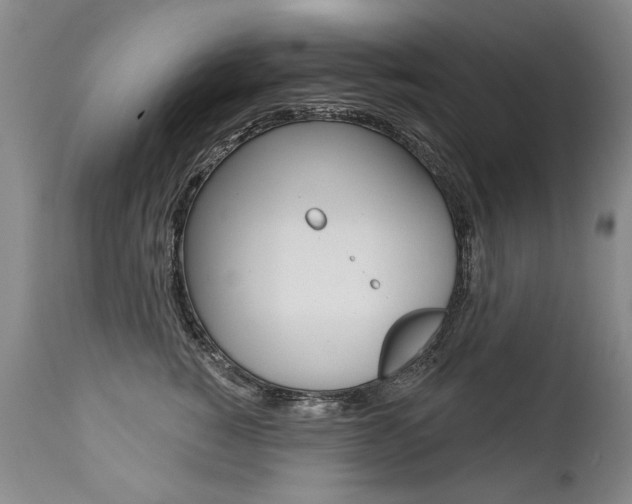 X0000112460760200908171016