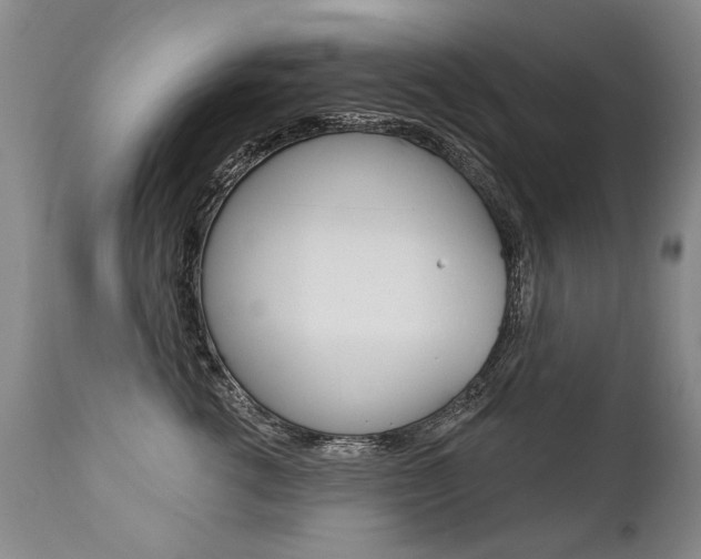 X0000112460762200908171016